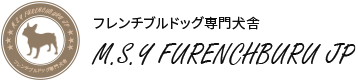 M.S.Y FURENCHBURU JP　フレンチブルドッグ専門犬舎｜神奈川県綾瀬市にある当犬舎では血統にこだわったクオリティの高いフレンチブルドッグをご提供しております。