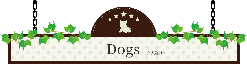 Dogs 仔犬紹介